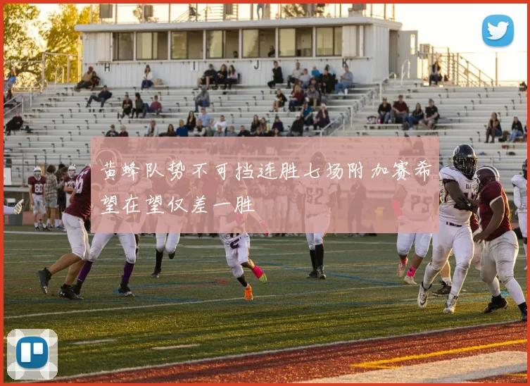 黄蜂队势不可挡连胜七场附加赛希望在望仅差一胜
